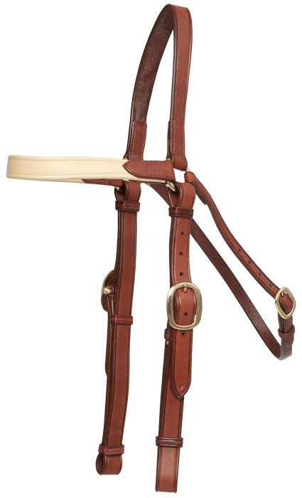 Bridle Oregon Barcoo Cob