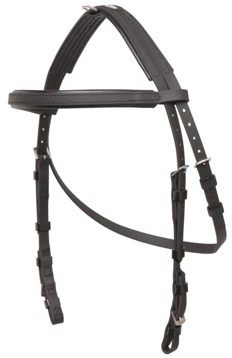 Bridle Hackamore Black Cob