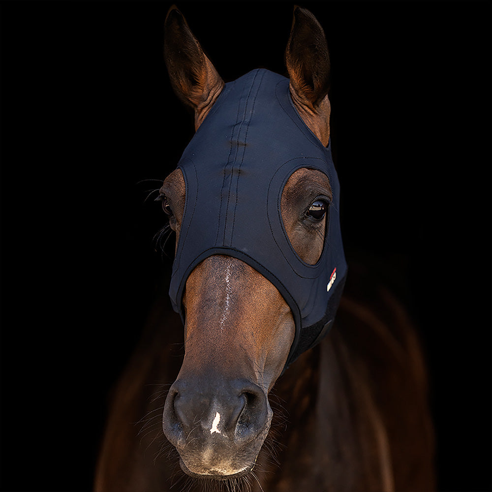 Titanium Hood Plain Black Medium