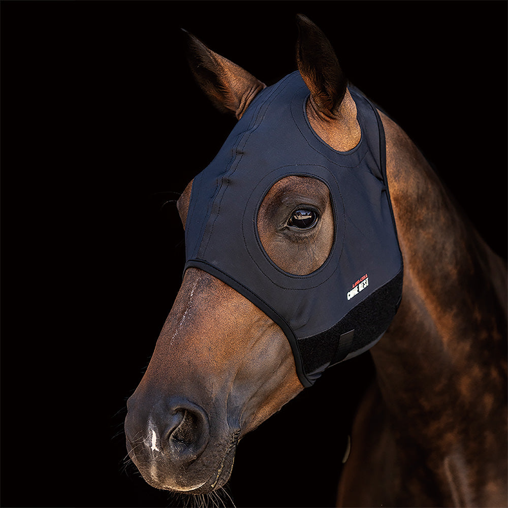 Titanium Hood Plain Black Medium
