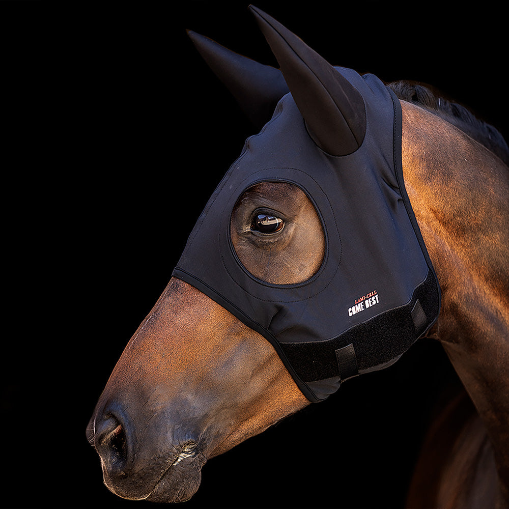 Titanium Hood W/Ears Black Medium