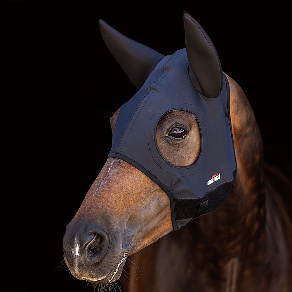 Titanium Hood W/Ears Black Medium