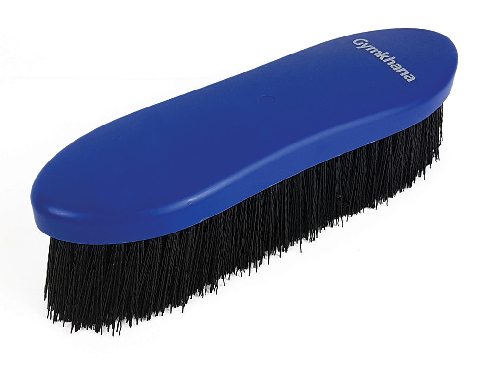Dandy Brush Gymk Lrg Ryl/Blk