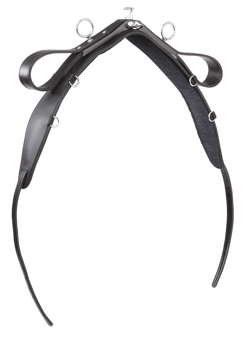S9 French Loop Saddle