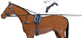 Qh H305 Harness Blk/Blue