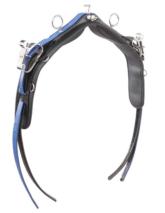 Saddle S5 Qh