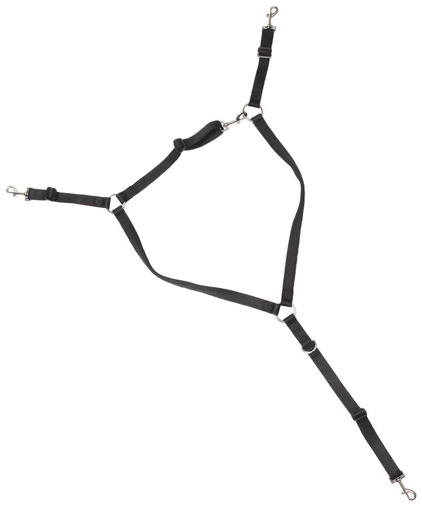 Buxton Web Black