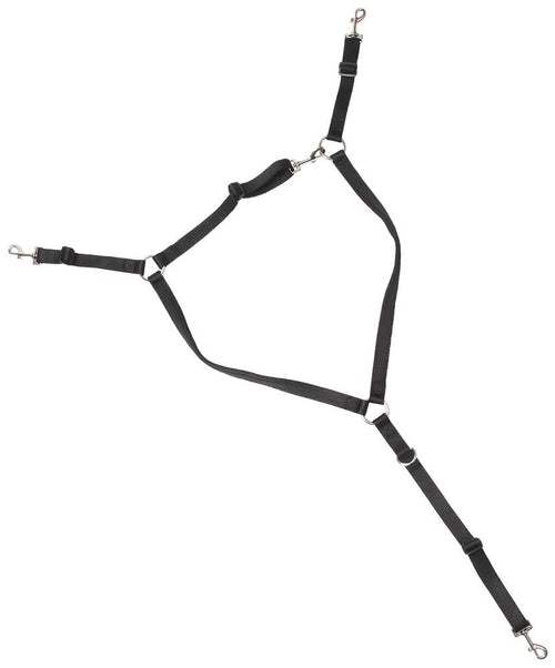 Buxton Web Black