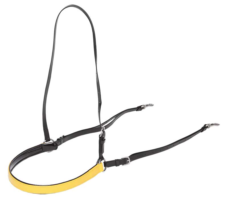 French Breastplate Yellow/Blk
