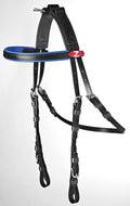 Harness Bridle (Open) Blk/Ryl