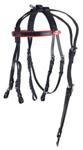 Bridle & Headcheck Blk/Red