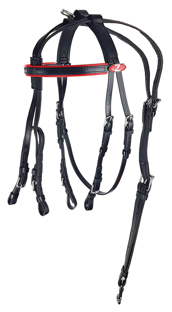 Bridle & Headcheck Blk/Red