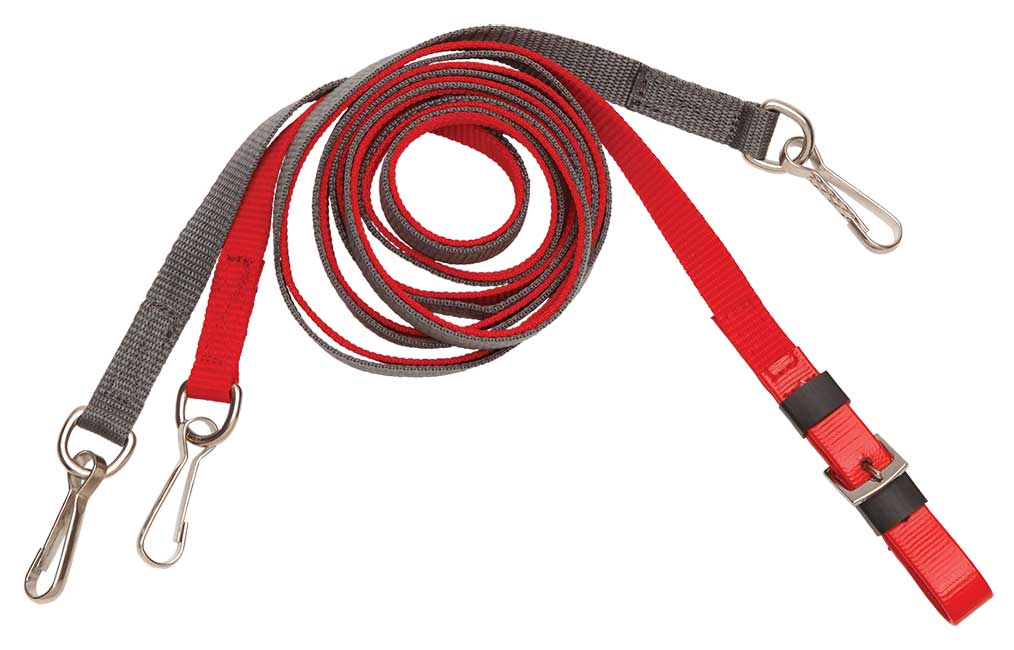 Straps For Auto Headcheck Pr