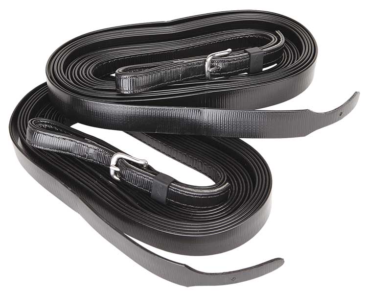 Reins Plain