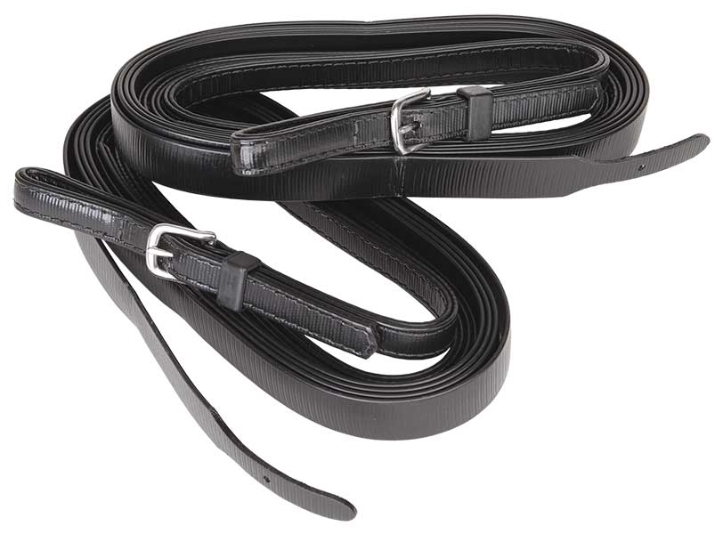 Reins Plain