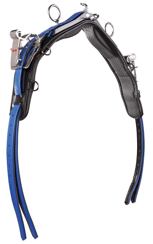Qh Saddle Royal Pony