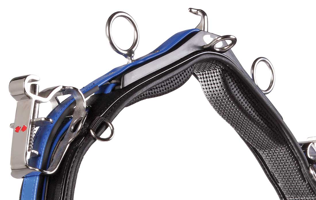Qh Saddle Royal Pony
