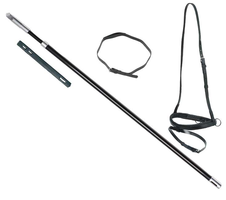 Lugging Pole + Strap & N/Band