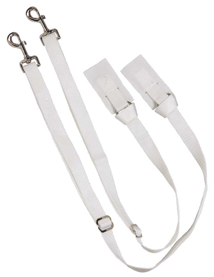 Leg Straps (Pair) Web