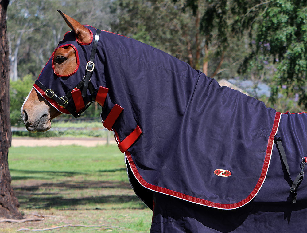Show Circuit Cotton Hood Cob