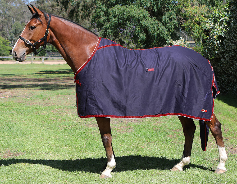 Show Circuit Cotton Rug 5'9"