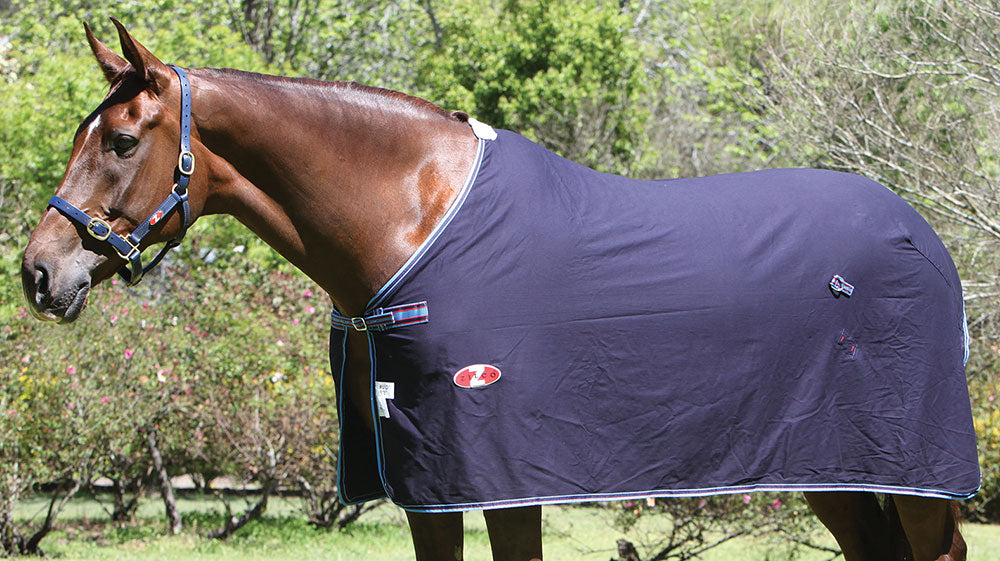 Defender Dress Cotton Rug 5'9