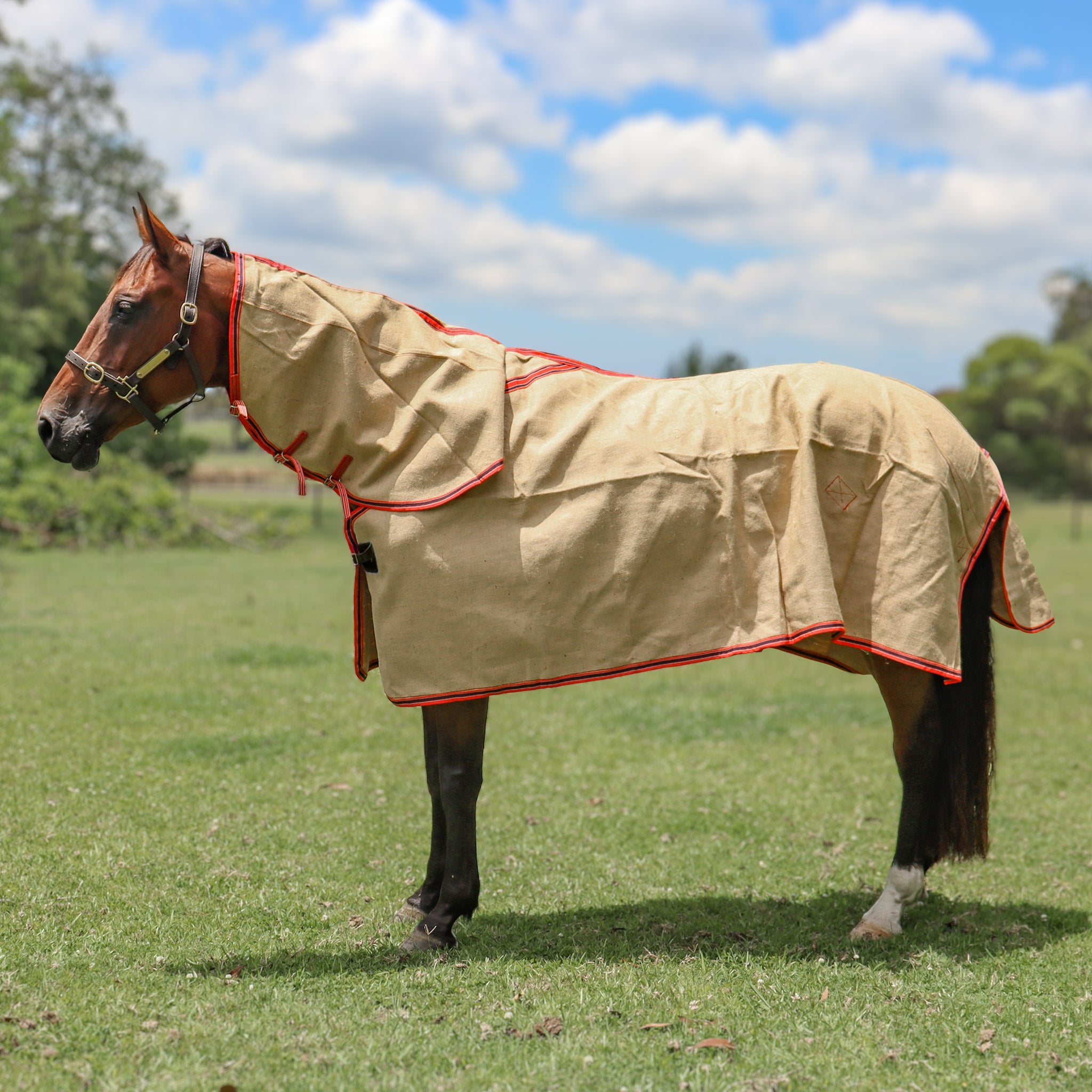Combo-Nat Jute (Unlined) 5'9"