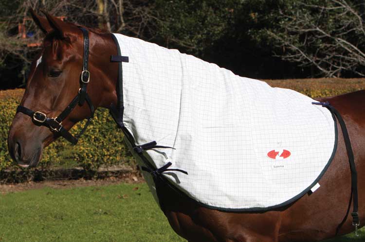 N/Rug-Supastop Wht/Blu/Grn Cob