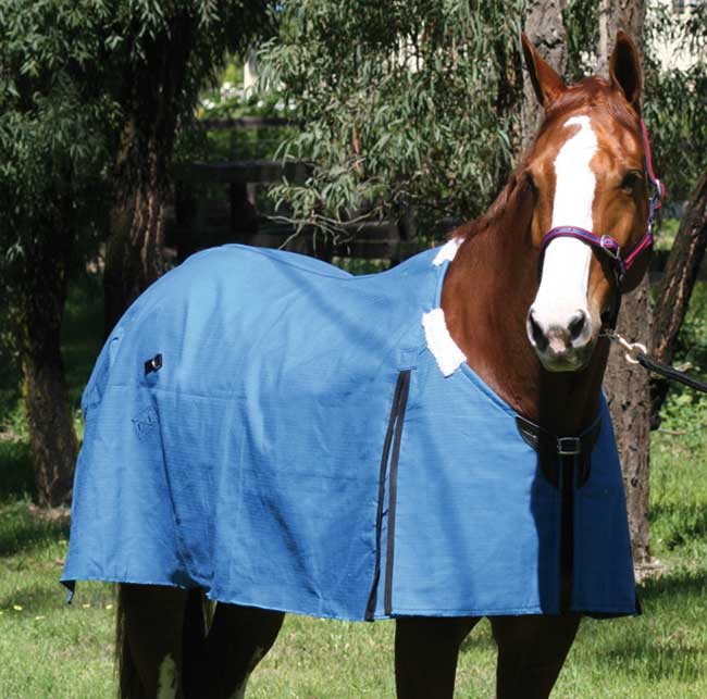 Rug Rip-Protect. Pad 5'9