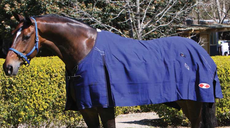 Rug Blue Mountain 5'9"