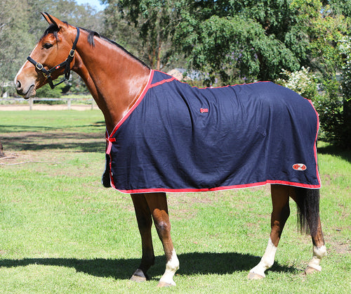 "Rug Stadium Wool 5'9"""