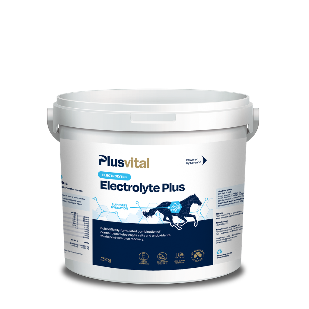 PlusVital Elecrolyte Plus 2KG